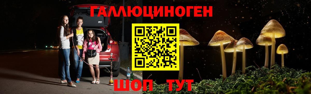 Галлюциногенные грибы MAGIC MUSHROOMS Кашира